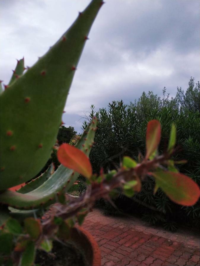 Casa Vacanza Rosariomaria レアルモンテ エクステリア 写真